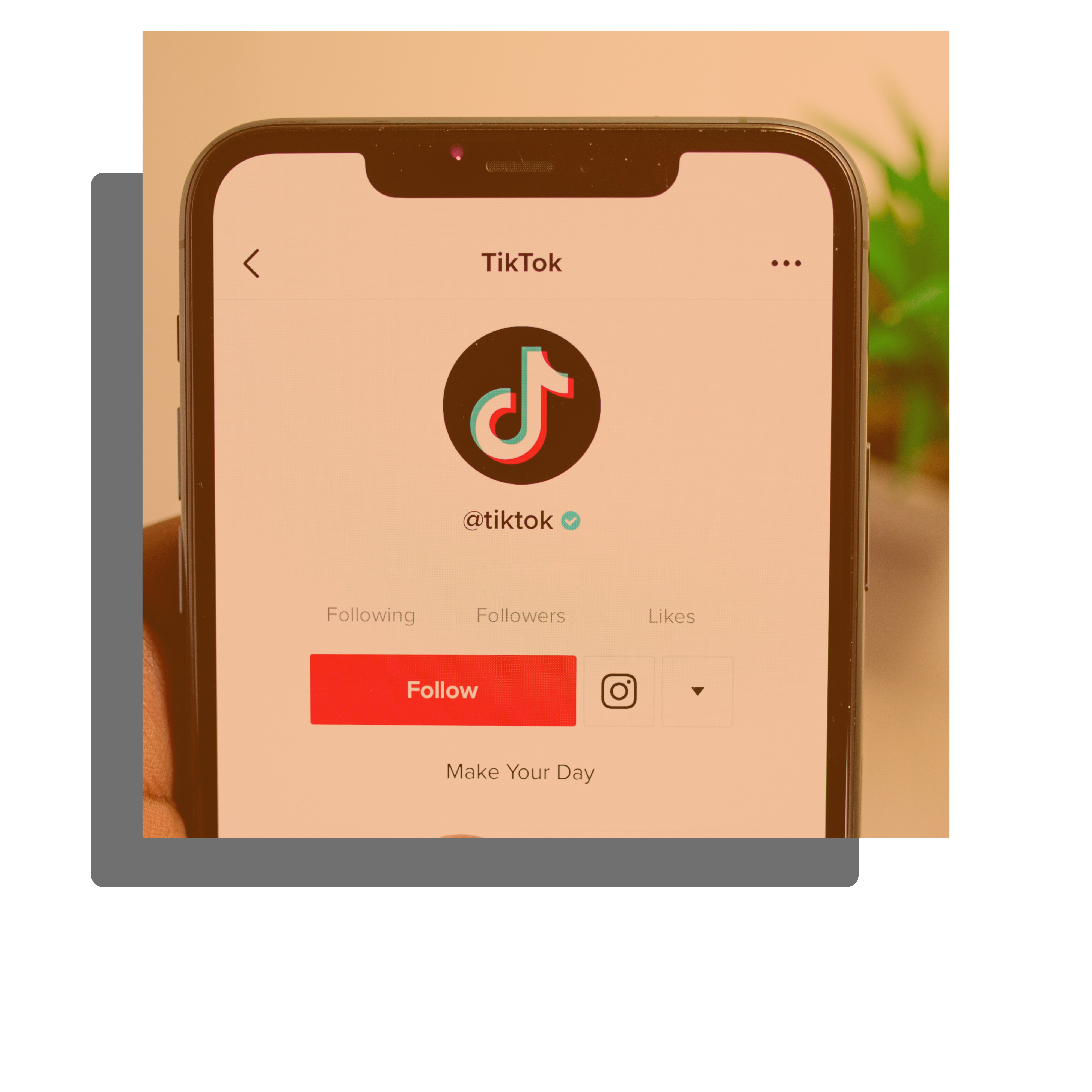 Smart phone displaying TikTok profile page